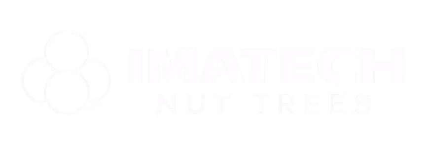 Imatech Nut Trees - No background